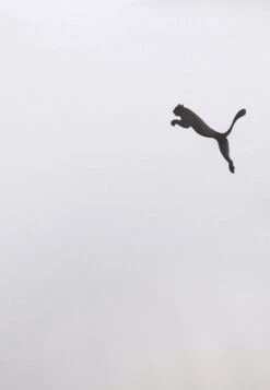 Puma ESS SMALL LOGO TEE - T-shirt Basic - White 12 Puma ESS SMALL LOGO TEE - T-shirt Basic - White -Sklep Odziezowy 4f41685cd372476da788aef9367df4e0